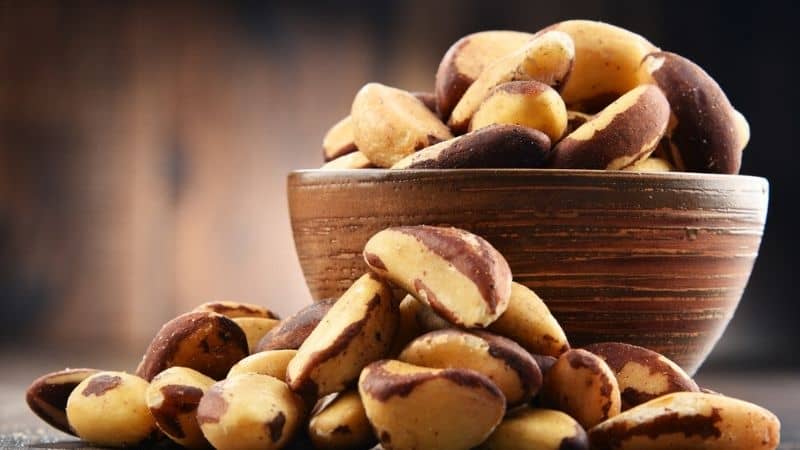 A Holistic Guide About the Best Brazil Nuts of 2022