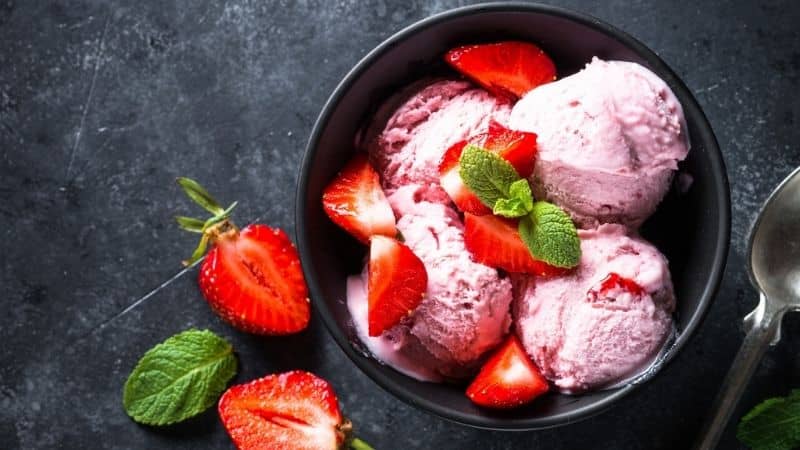 Best Ice Cream Makers in India – Easy to Use