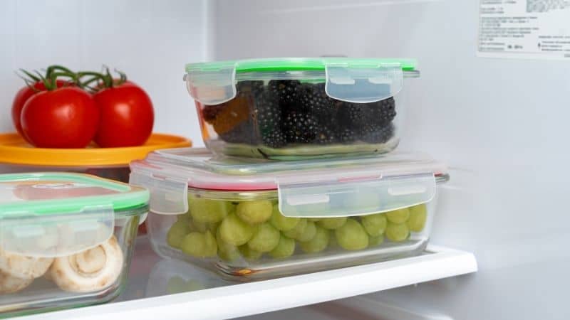 Best Storage Containers For Refrigerator in India | Fridge Storage ...