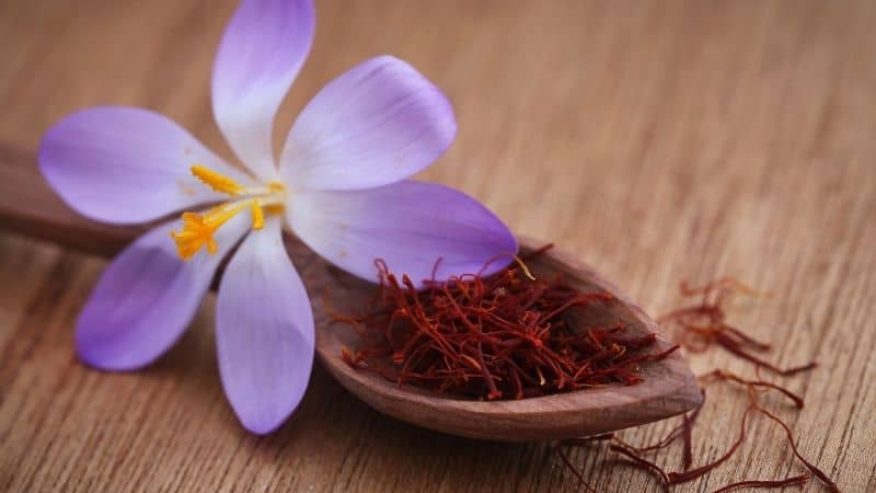 Benefits of Saffron During Pregnancy – Elevates Your Mood