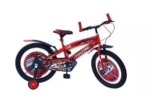 RAW BICYCLES 20T Sports BMX Single Speed Kids Bicycle