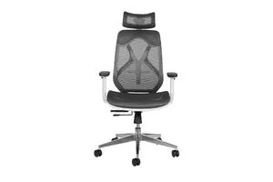 Misuraa Imported Xenon High Back Ergonomic Chair
