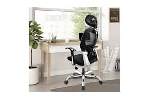 Savya Home® APEX Chairs™ Apollo Chrome Base