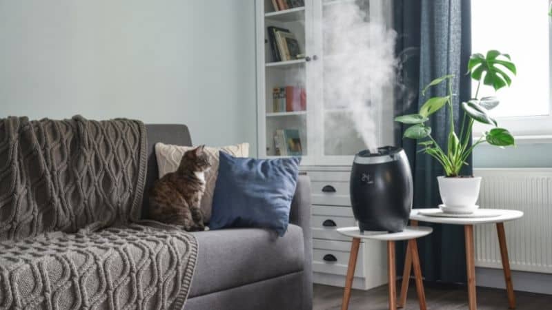 Humidifier Benefits | Uses | Side Effects