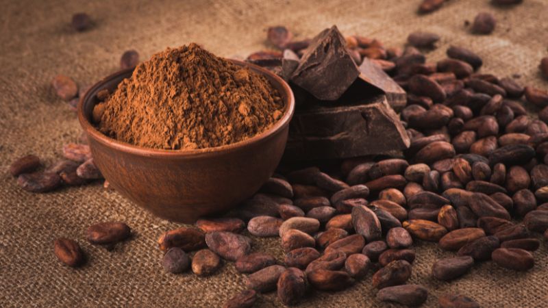 7 Best Cocoa Powder in India
